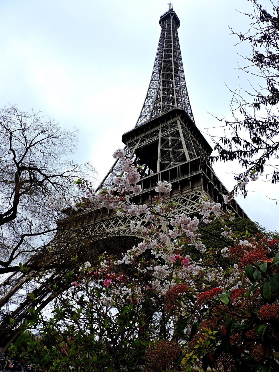 The Eiffel Tower, France