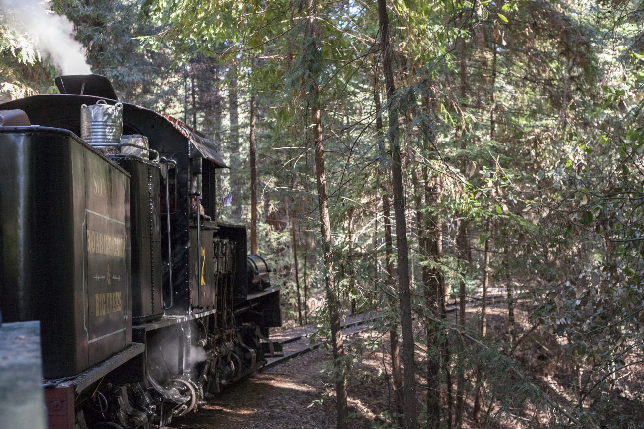 Roaring Camp Railroad