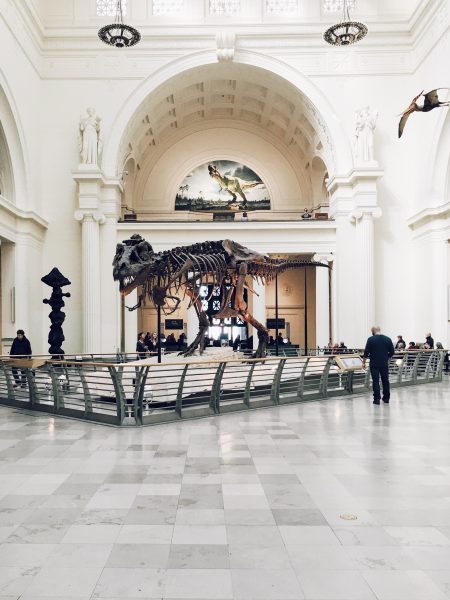 The Field Museum, Chicago, United States