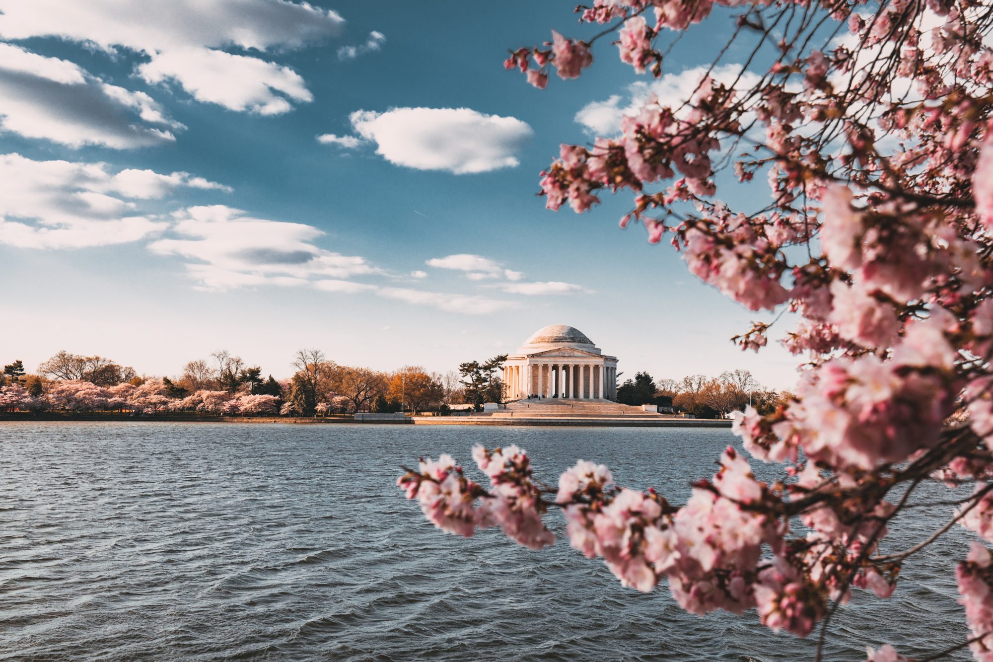 View of the Jefferson Memorial