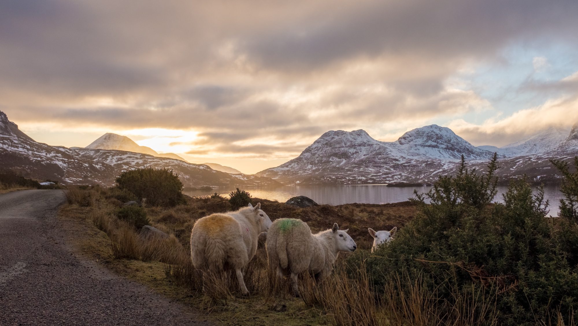 Ullapool, Scotland