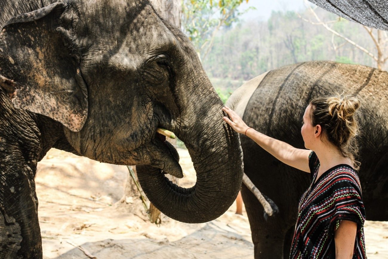 Touching Elephants