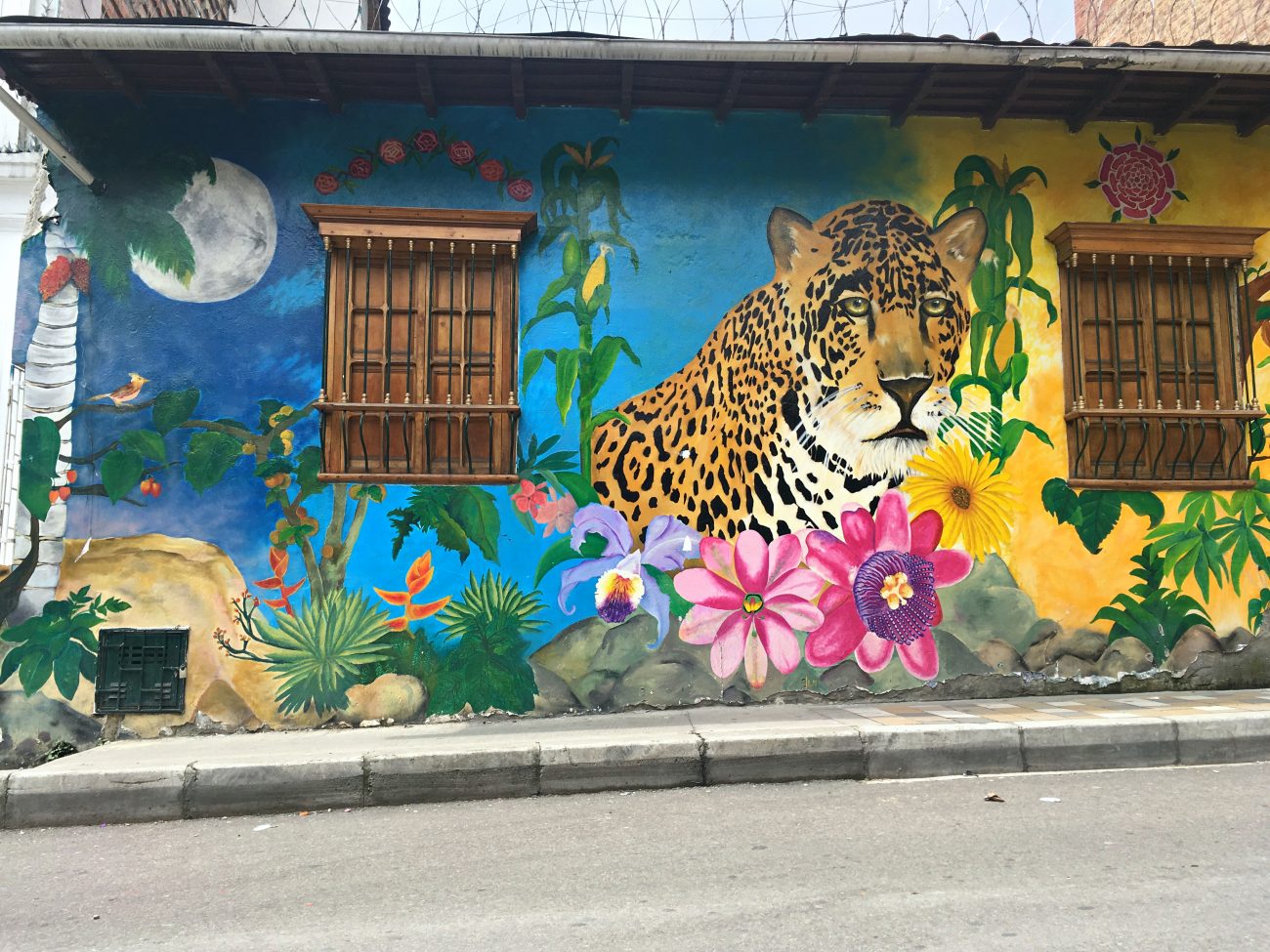 Street Art in Bogota, Colombia