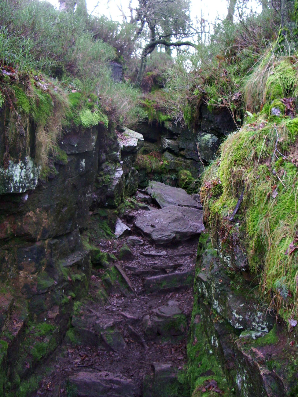 Entrance To Lud's Church