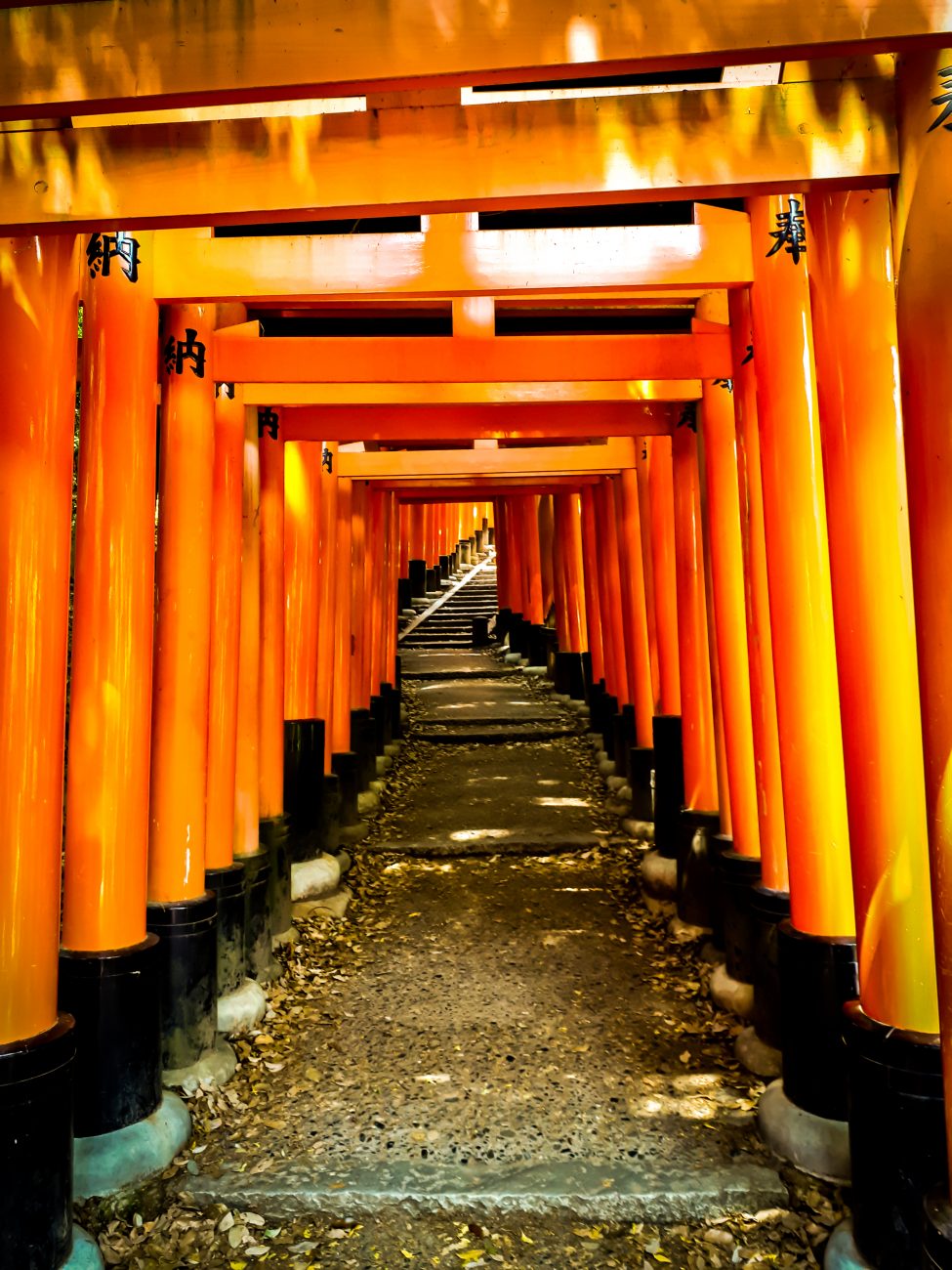 Fushimi Inari