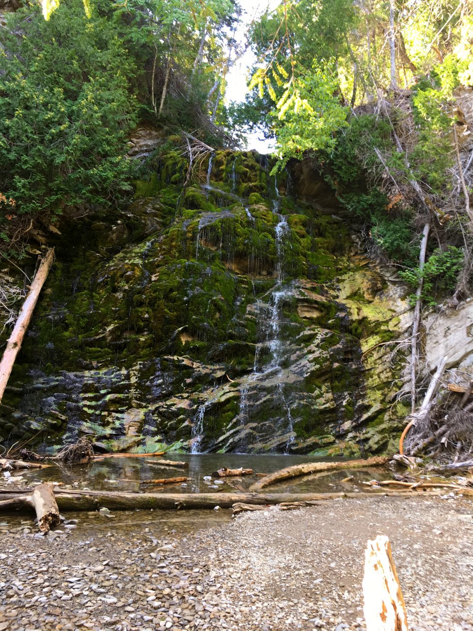 Hiking the trail