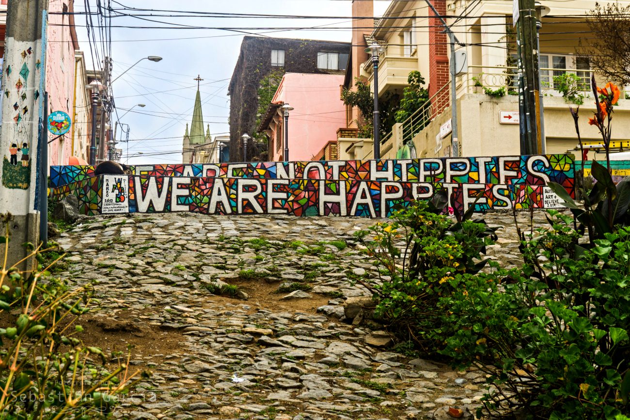 We Are Not Hippies, We Are Happies