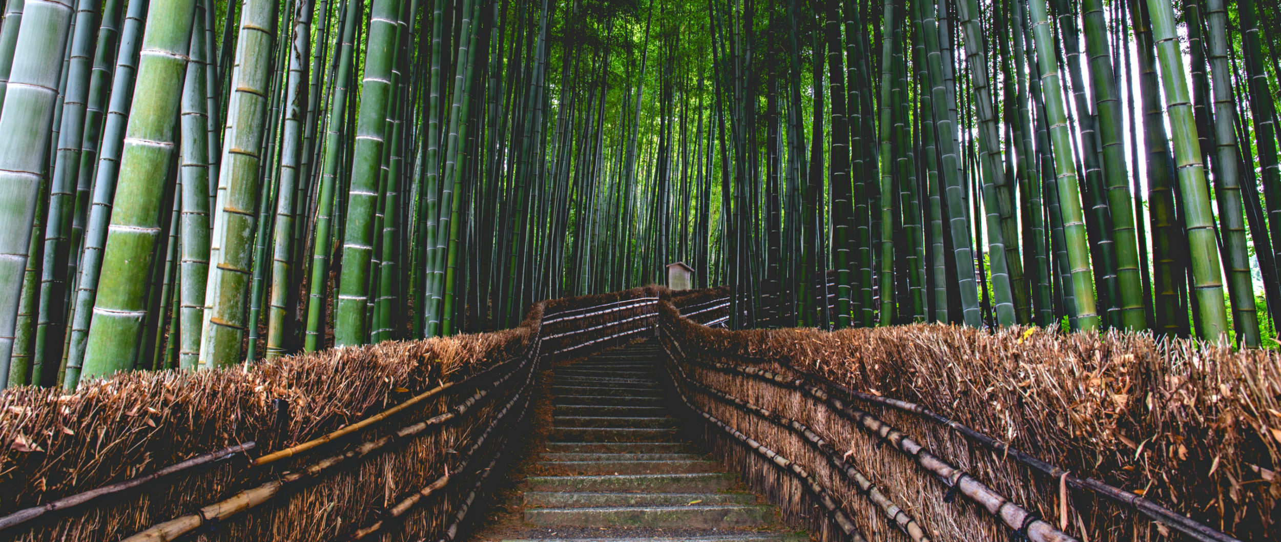 7 Health Hacks Other Cultures Use To Improve Their Health