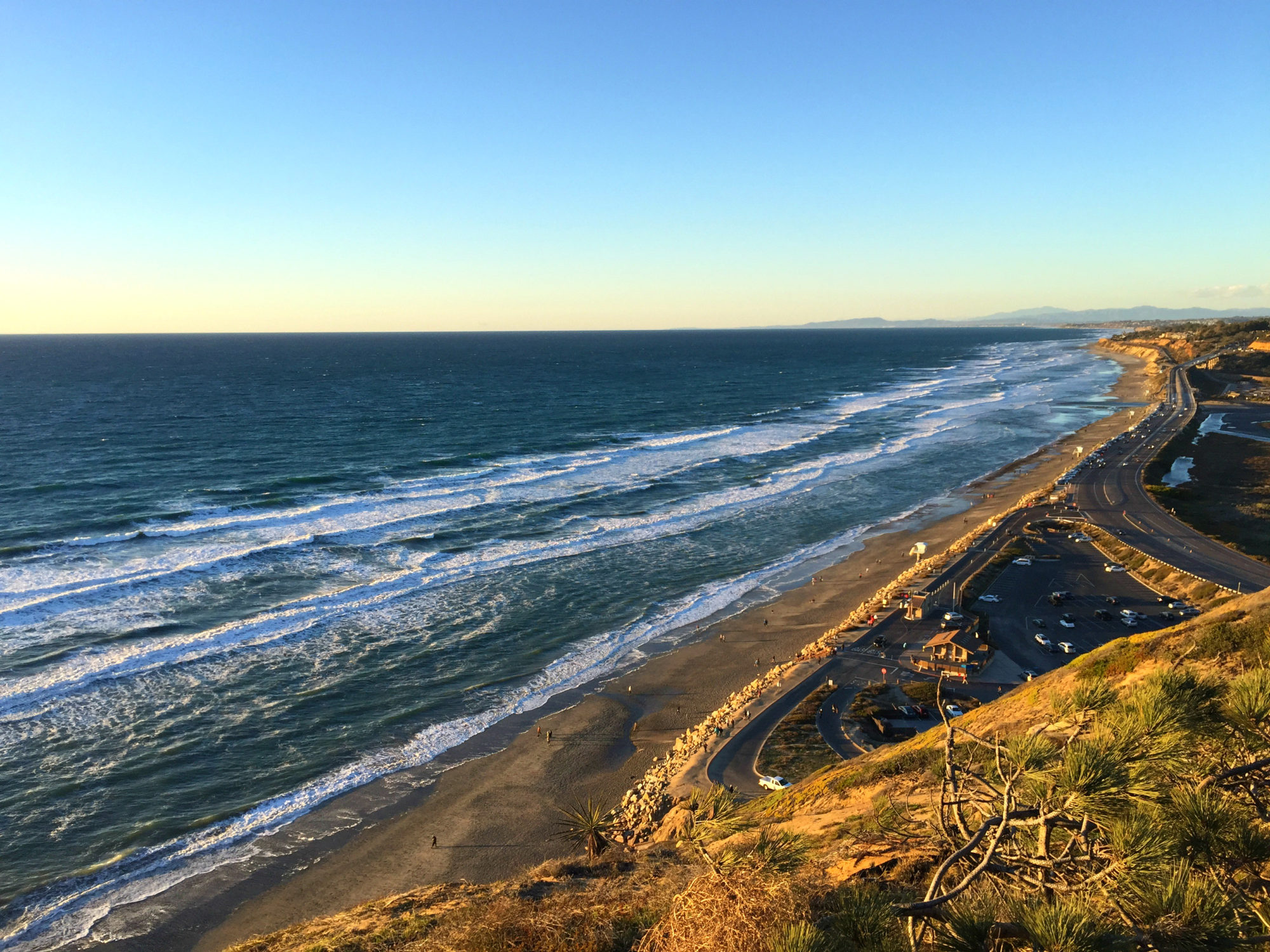 Torrey Pines, San Diego