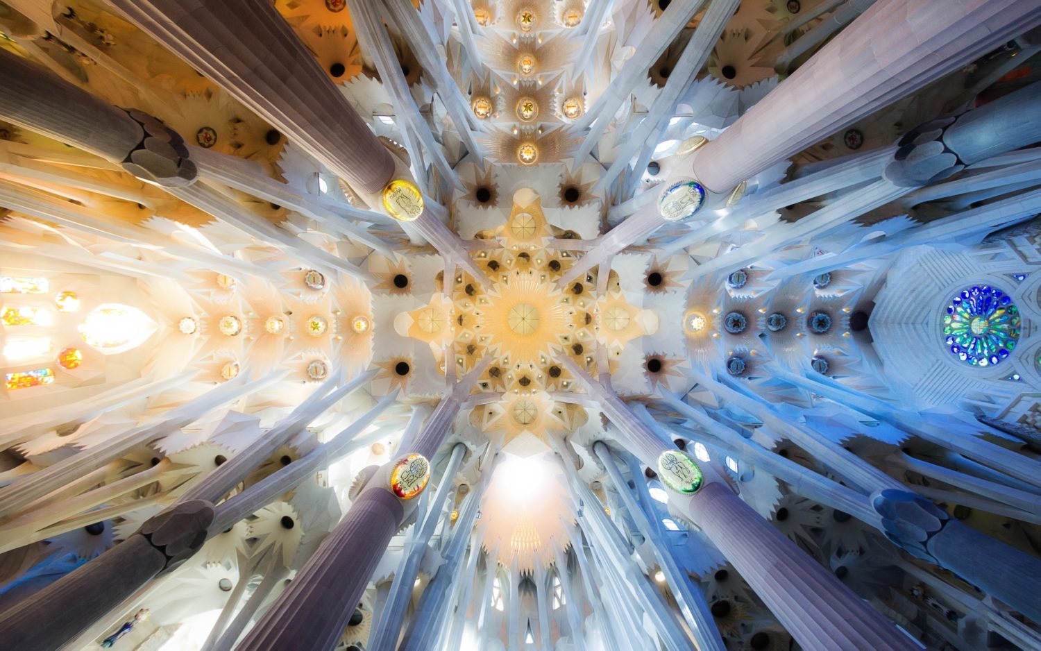 The Ceiling Of Sagrada Familia