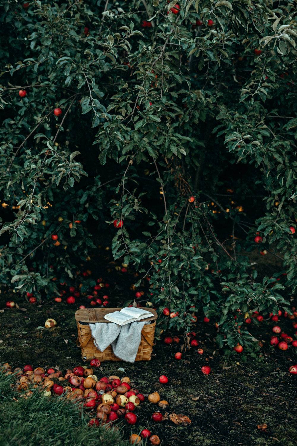 Lyman Orchards