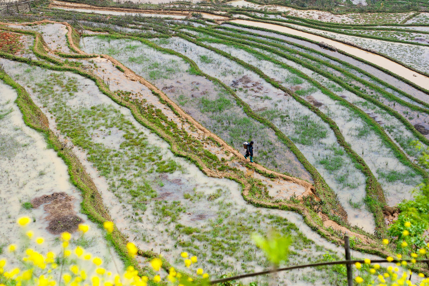 Sa Pa, Vietnam