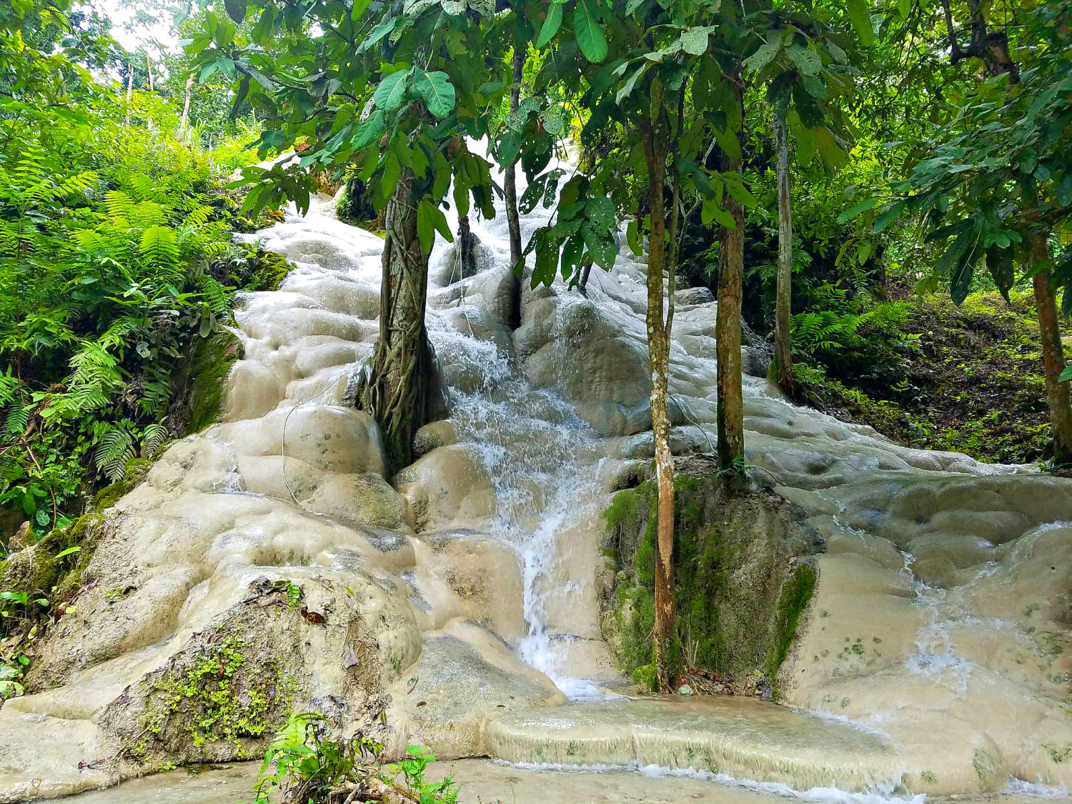 Bua Tong “Sticky” Waterfalls