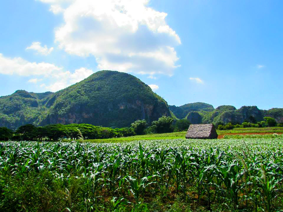 Viñales, Cuba