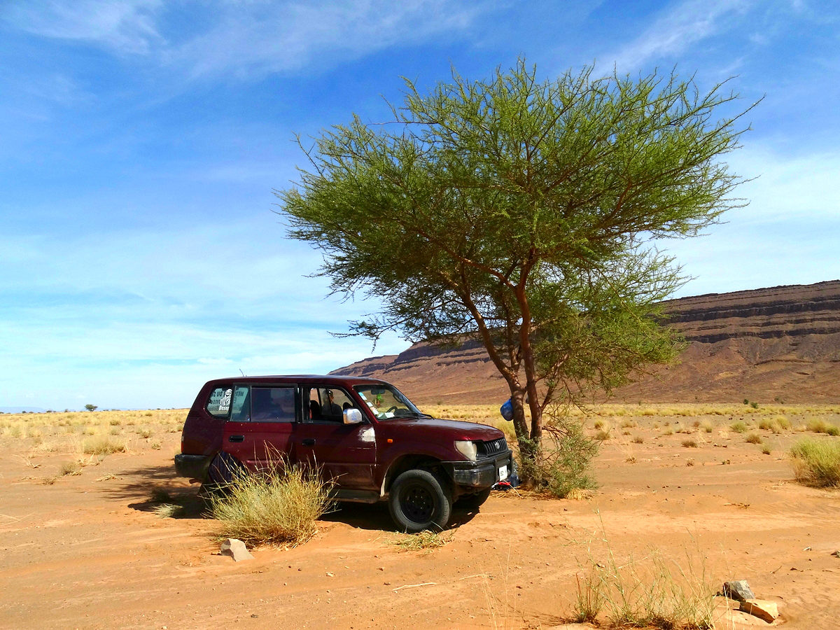 Jeep tour in the desert near the Jbel Bani Mountains, Zagora