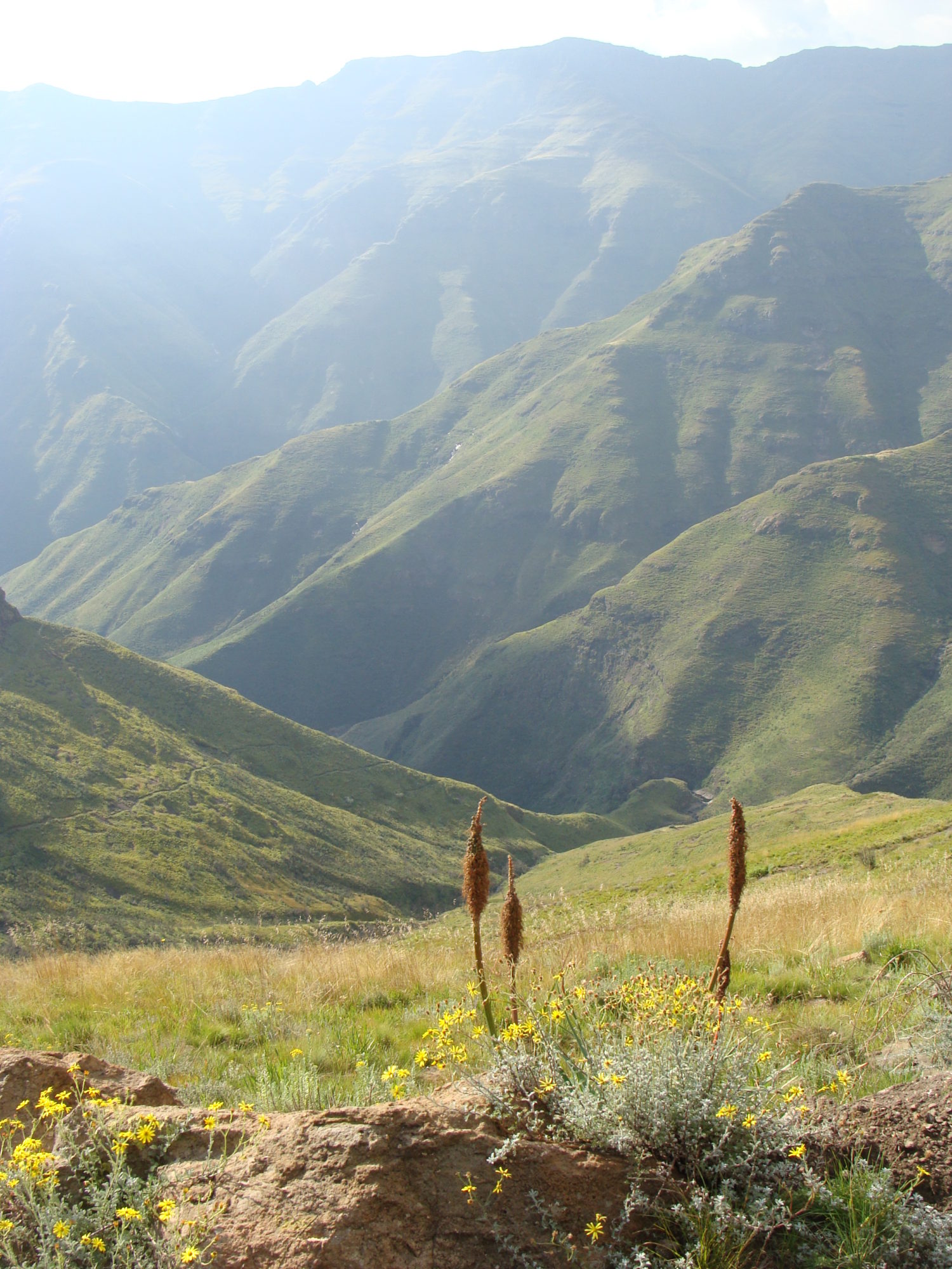 Ts’enhlanyane National Park, Lesotho