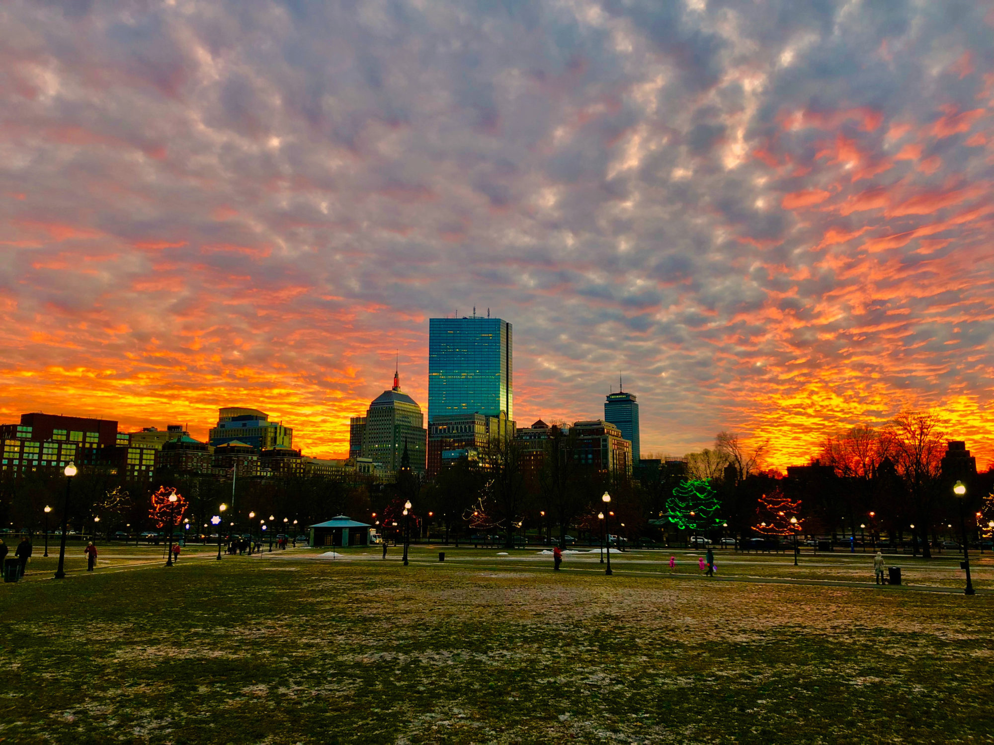 View of Boston from the Boston Common