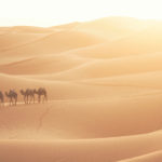 Moroccan Desert Tours: Everything You Need To Know