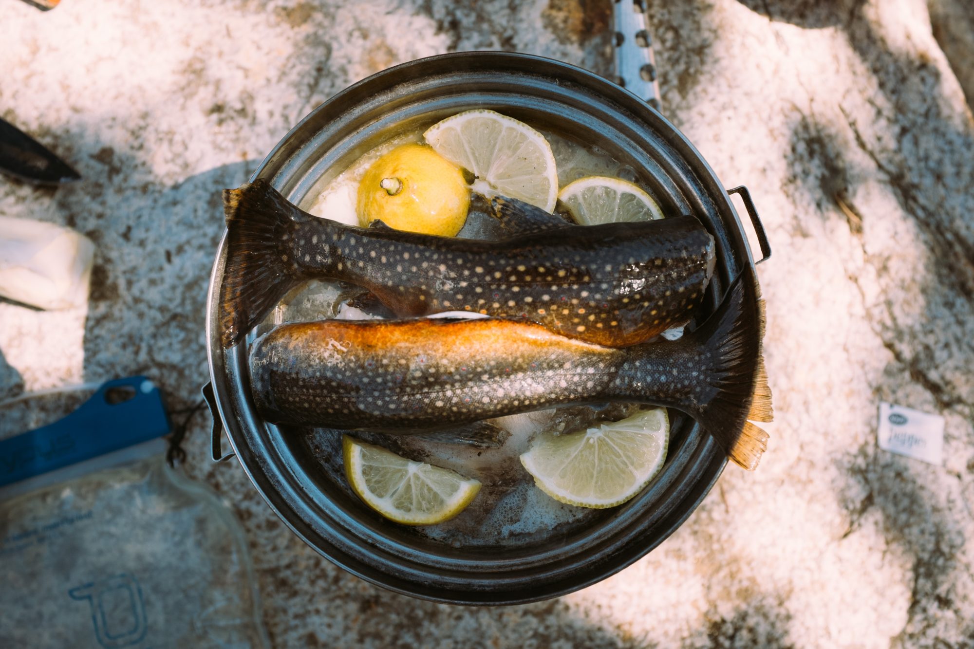 Pucón's well loved trout