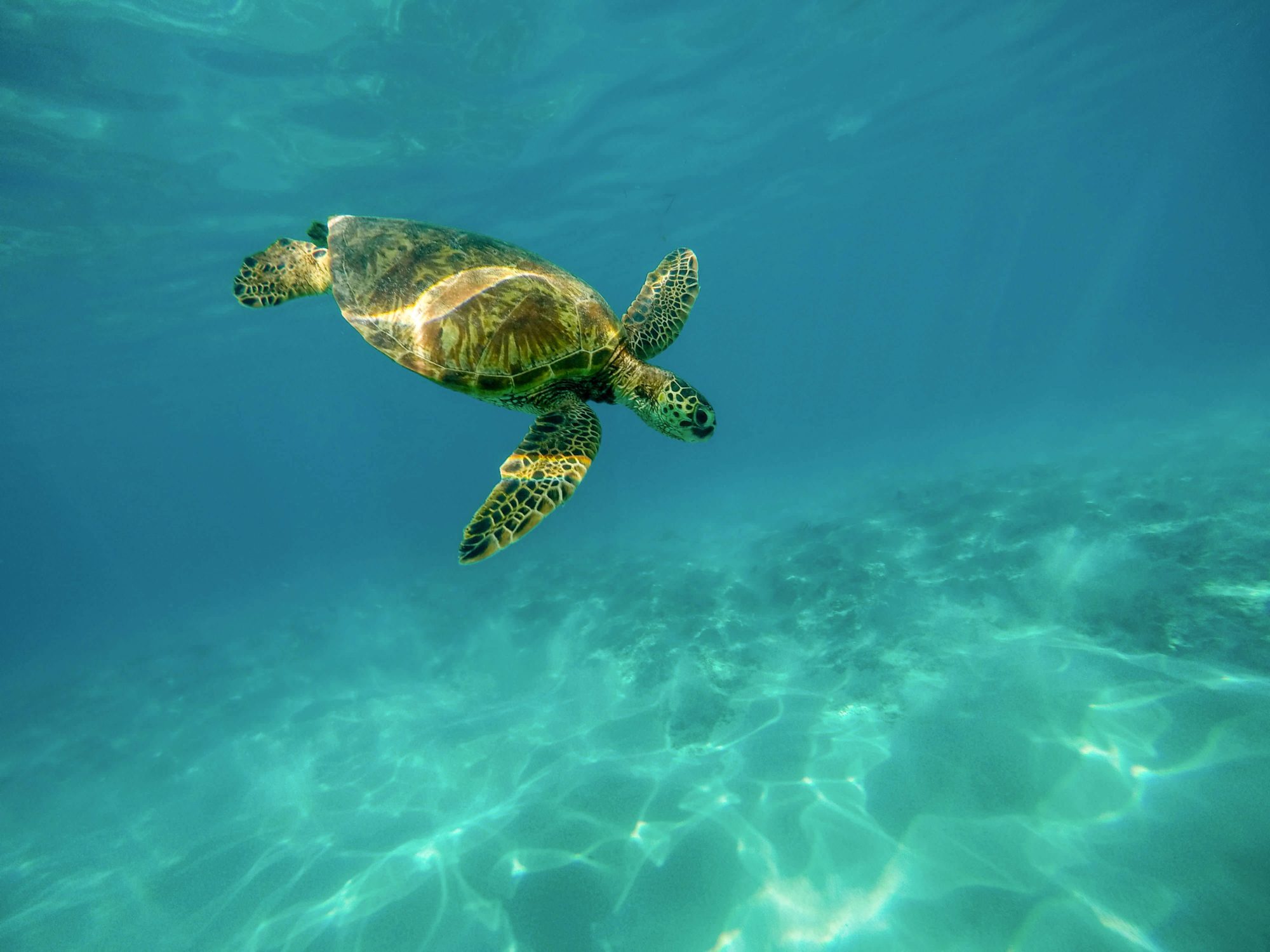 The Gili Islands, Indonesia