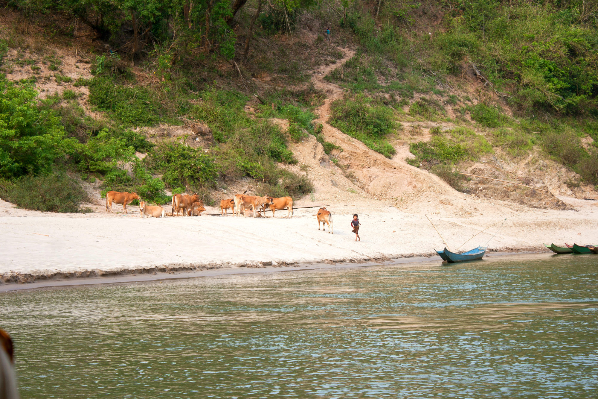 Taking the Slow Boat in Laos