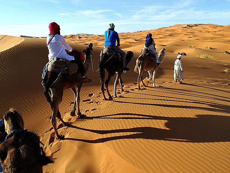 Camel Trek amidst Merzouga's Sand Dunes