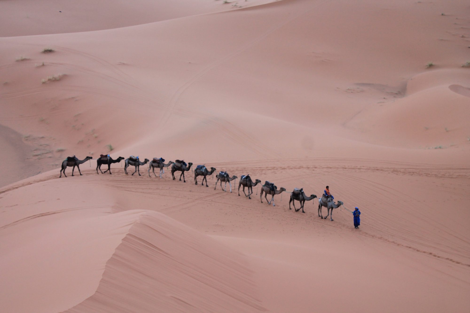 The Desert Sand Dunes, Marrakesh, Top Sights In Morocco You Need To See