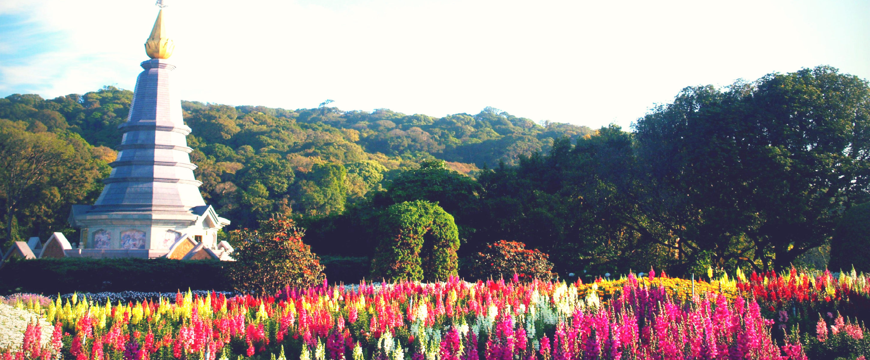 Top Things To Do In Chiang Mai To Get The Most Out Of Your Trip Top Things To Do In Chiang Mai To Get The Most Out Of Your Trip