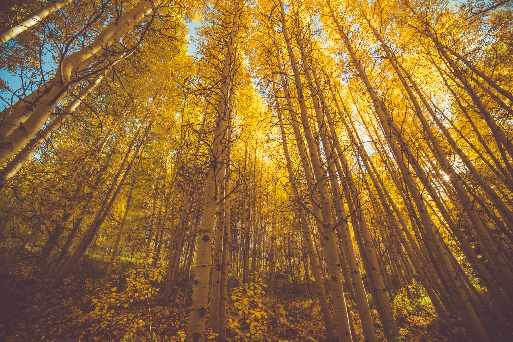 Aspen, Colorado