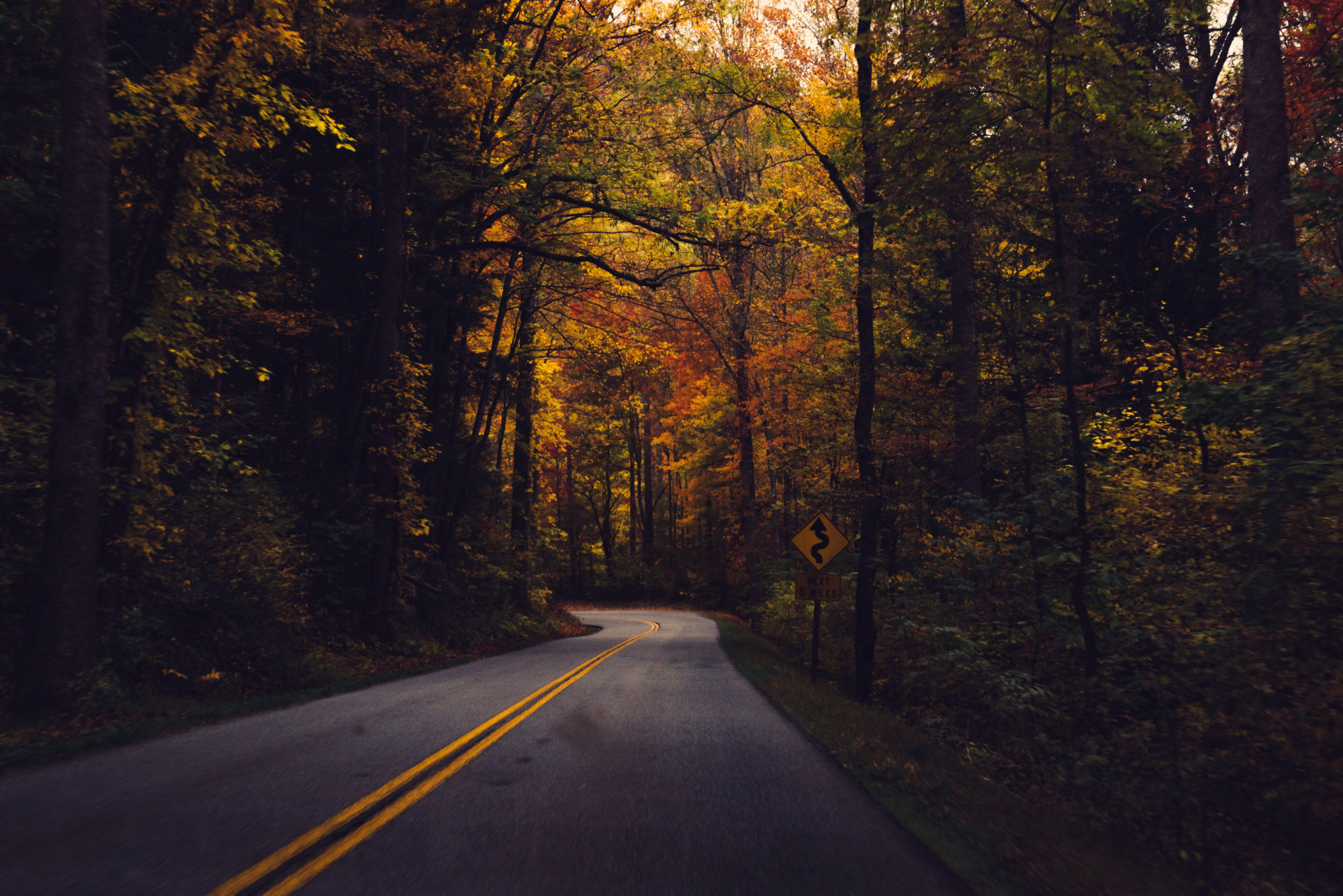 Great Smoky Mountains, Tennessee