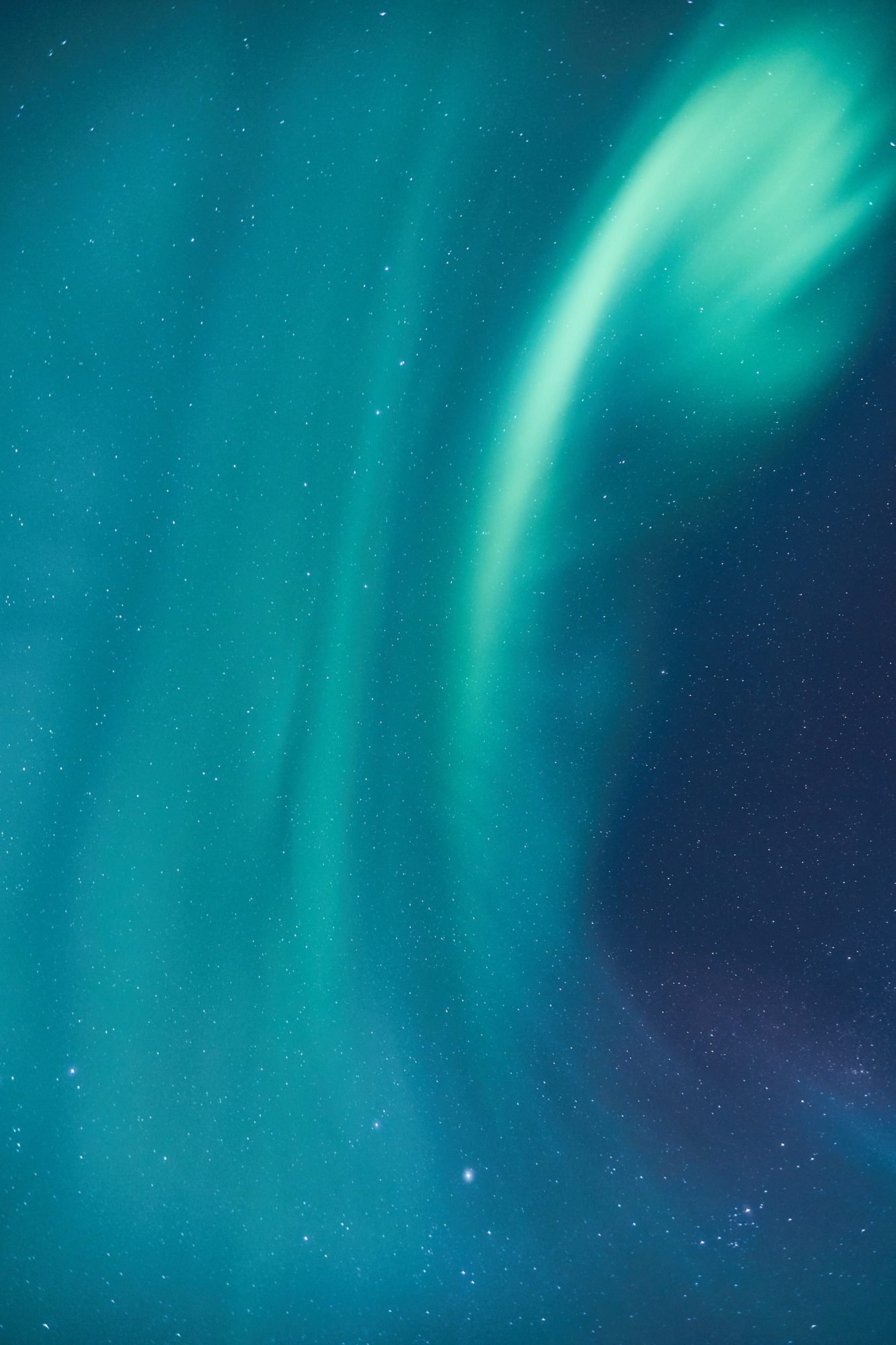 Northern Lights at Skagsanden beach, Flakstad, Norway