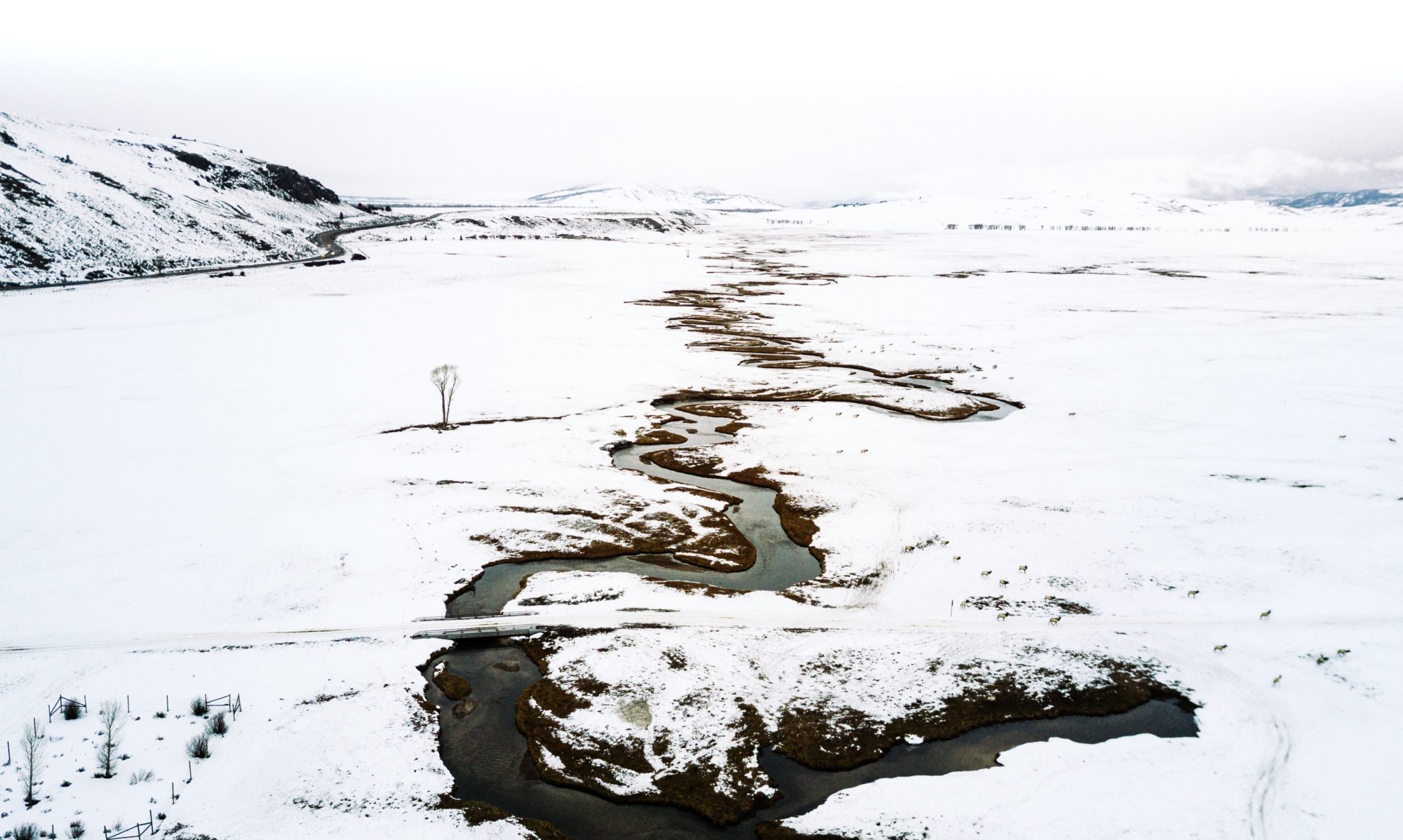 National Elk Refuge Road, places to visit in Winter