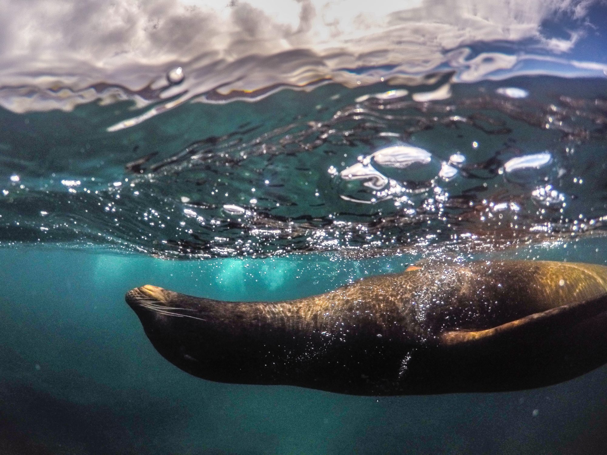 The Galapagos Islands, Ecuador