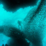 Tips For Scuba Diving
