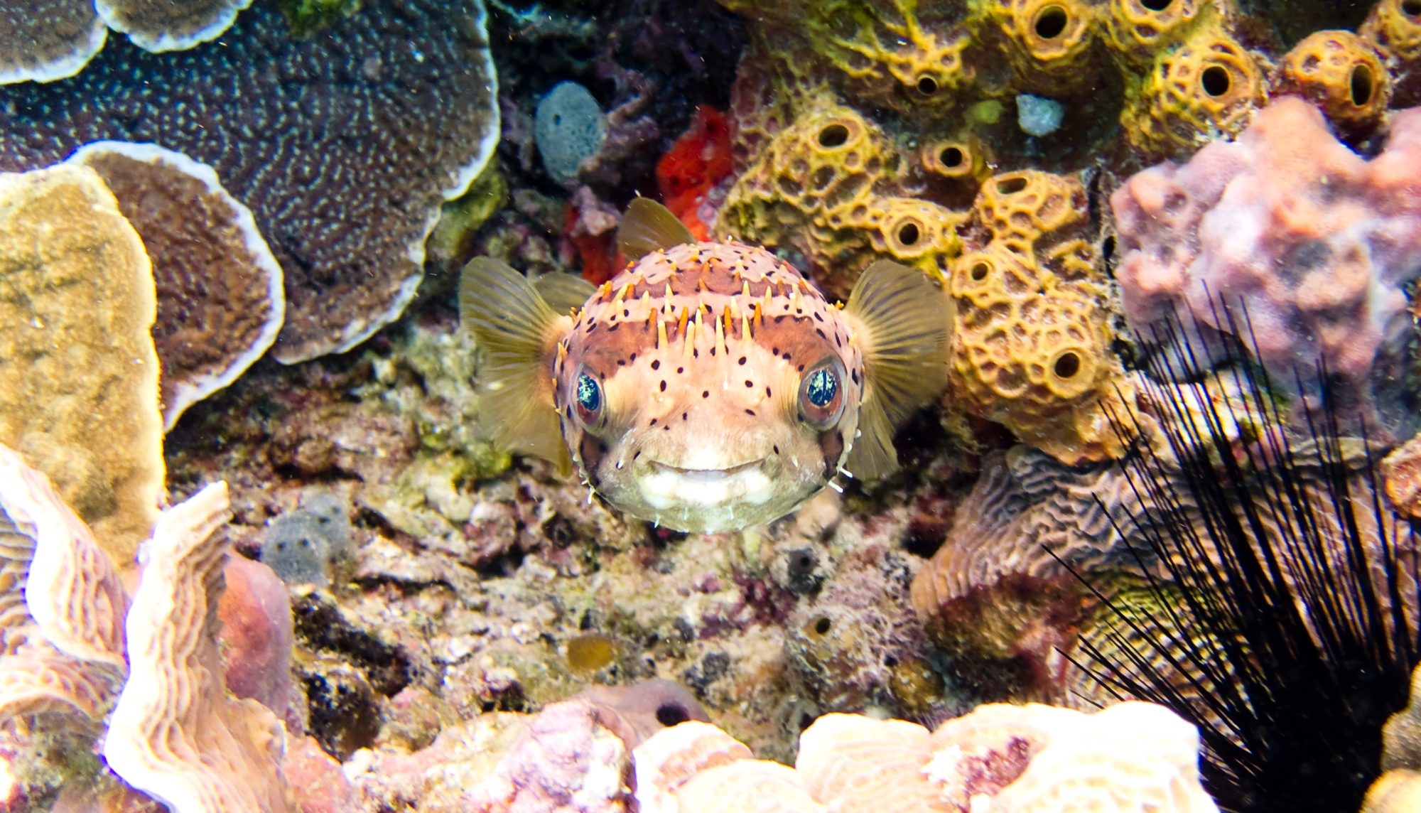 Cozumel, Mexico