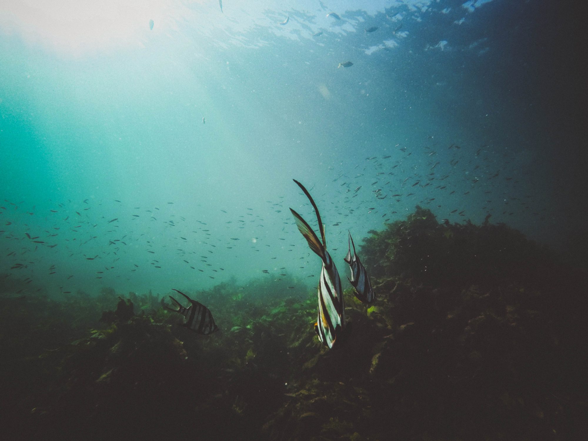 Underwater Australia