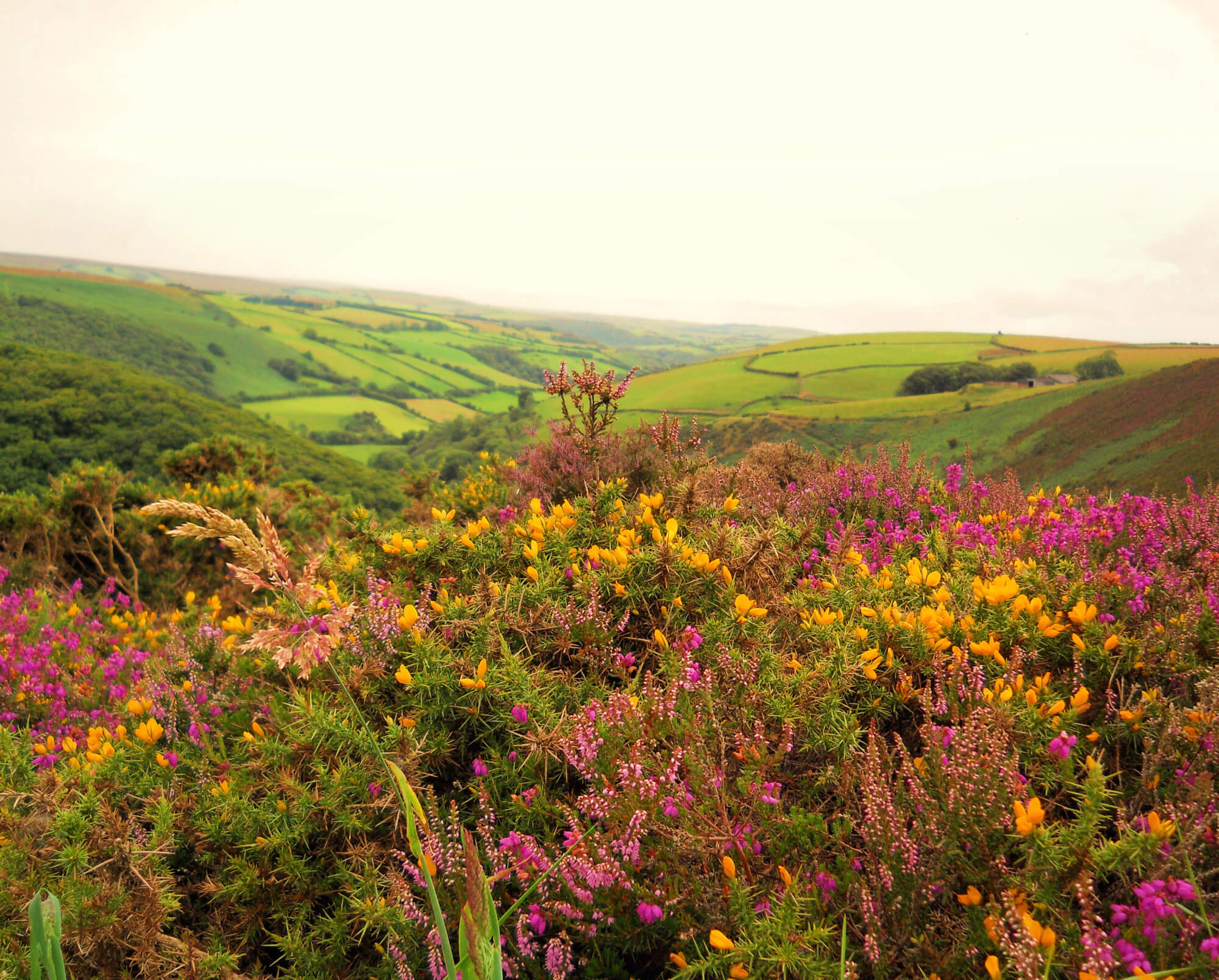 Exmoor National Park only just about made my list of top 10 UK National Parks!