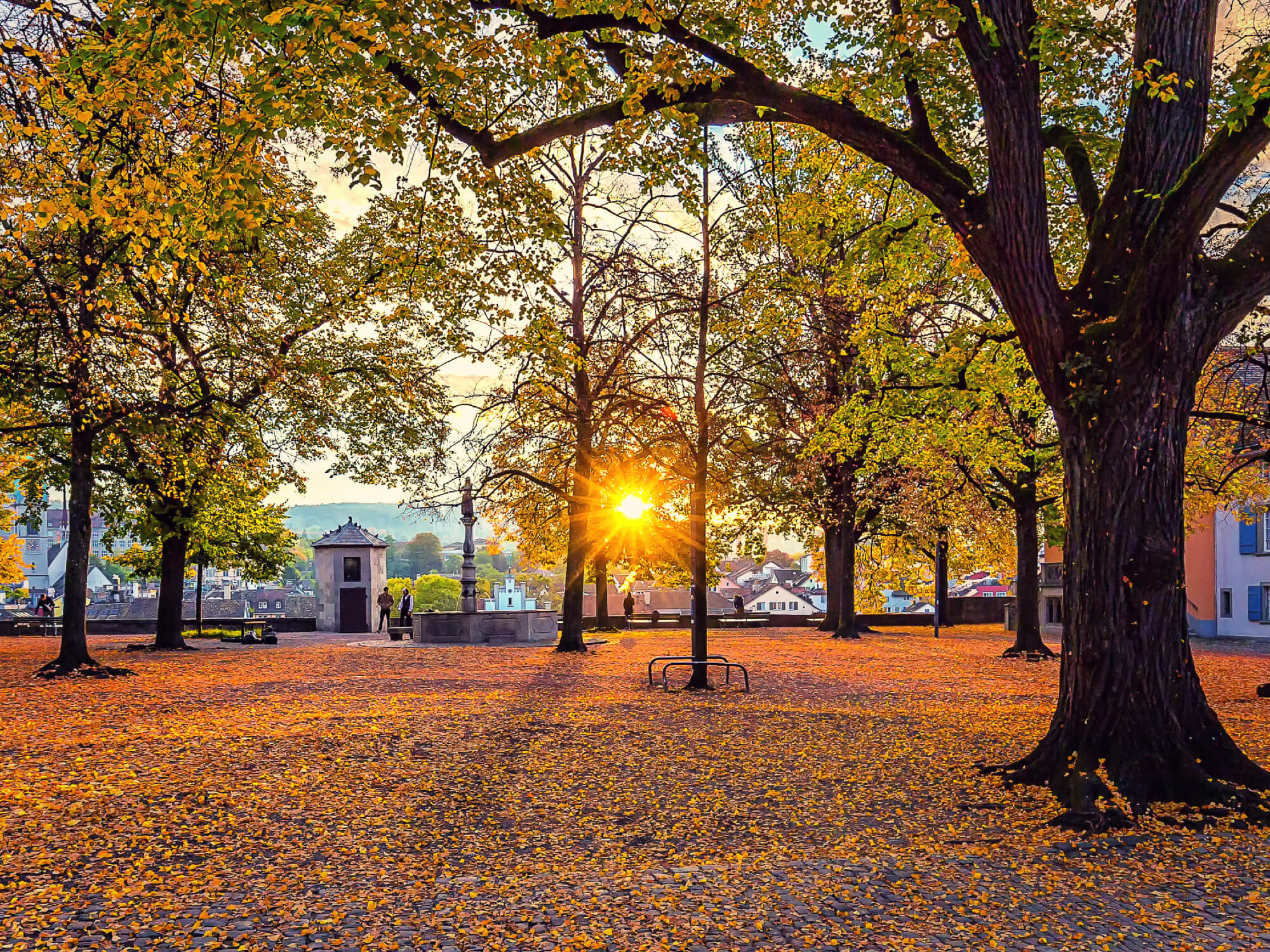 Don't just write off Lindenhofplatz as not being one of your places to visit in Zürich in 2 days.