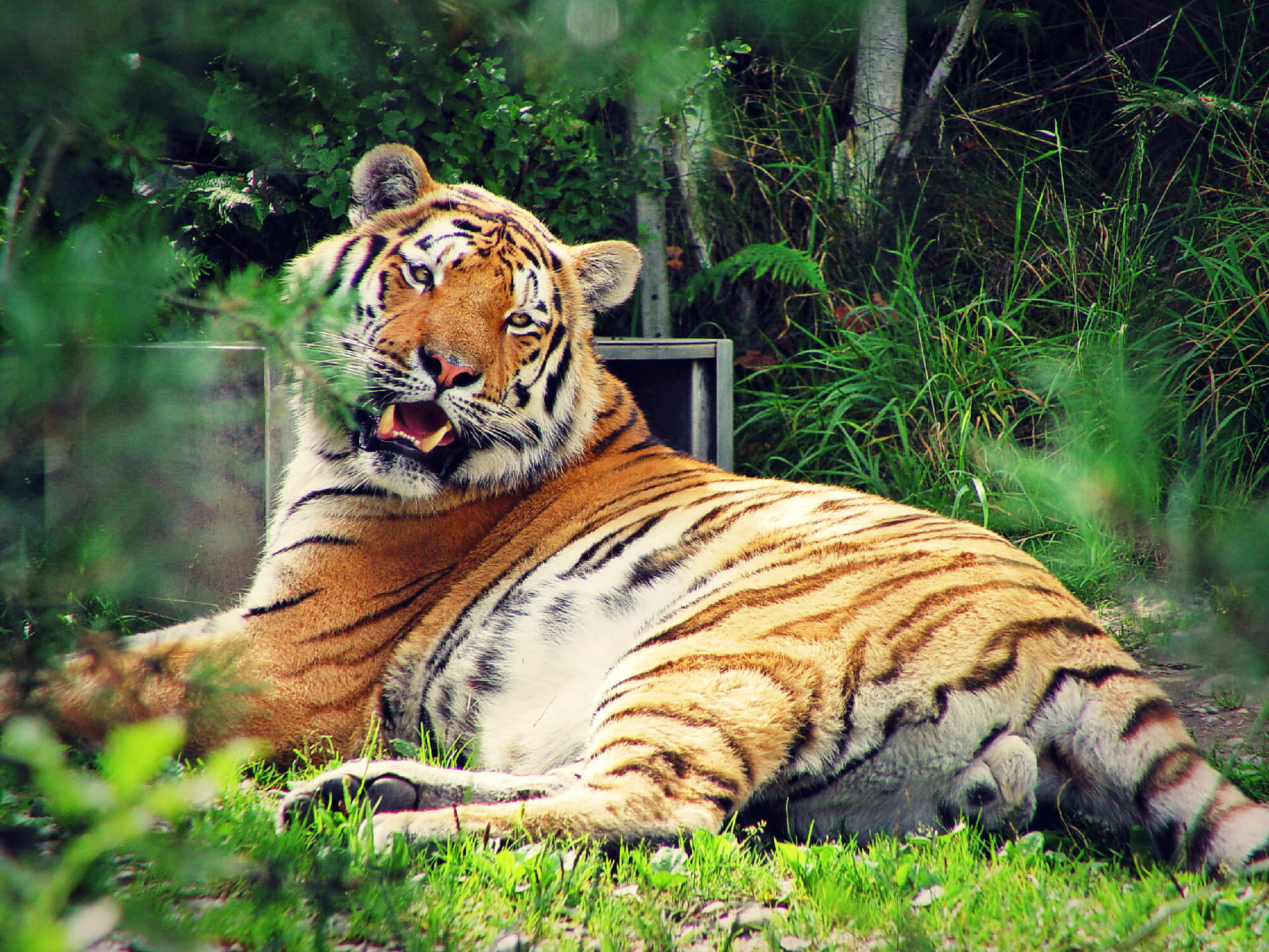 Zoo Zürich is one of the top attractions and places to visit in Zürich.